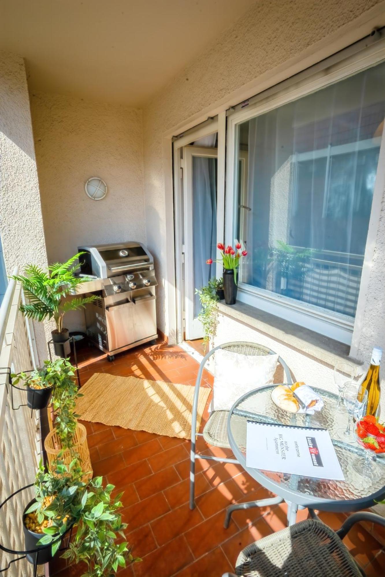 The Big Muenster Fuer Bis Zu 12, Whirlpool, Sauna, Zentral, Tischfussball, Balkon, Gasgrill Ульм Экстерьер фото
